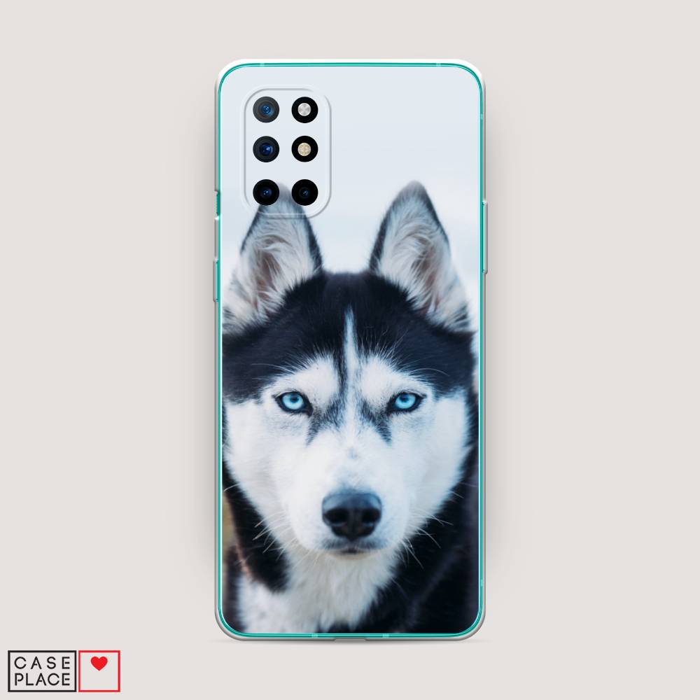 

Чехол на OnePlus 8T "Хаски 2", Синий;белый, 151150-1