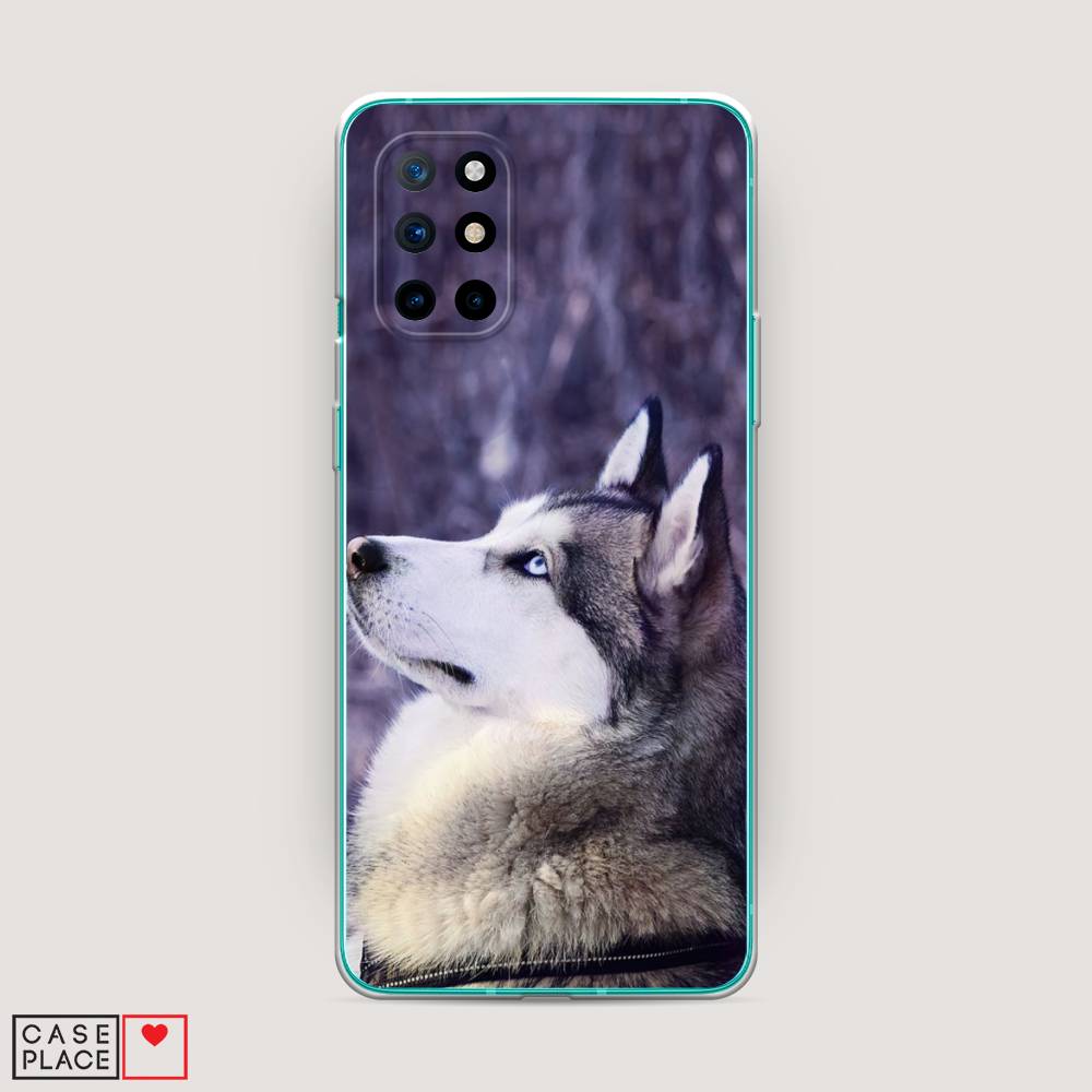 

Чехол на OnePlus 8T "Хаски 1", Фиолетовый;белый, 151150-1