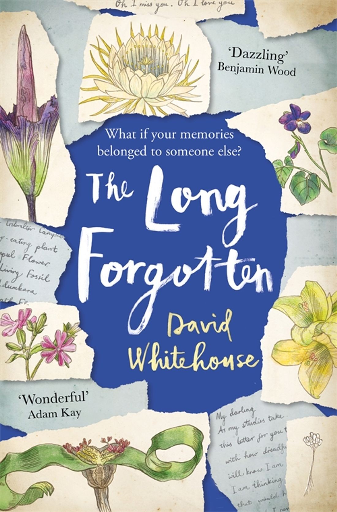 

The Long Forgotten