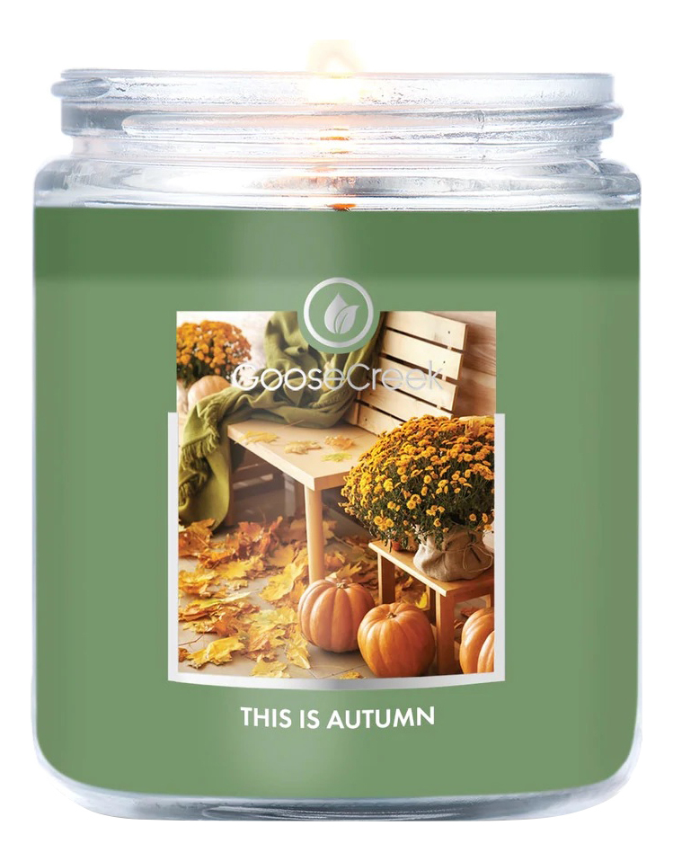 

Ароматическая свеча Goose Creek This Is Autumn Это осень 198г, 408401