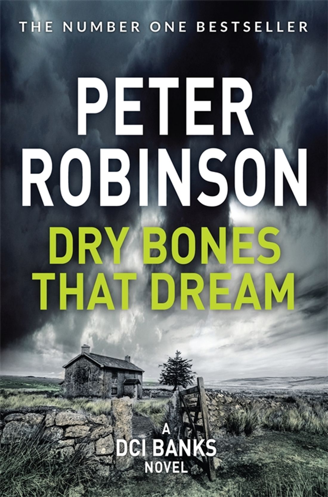 

Dry Bones That Dream