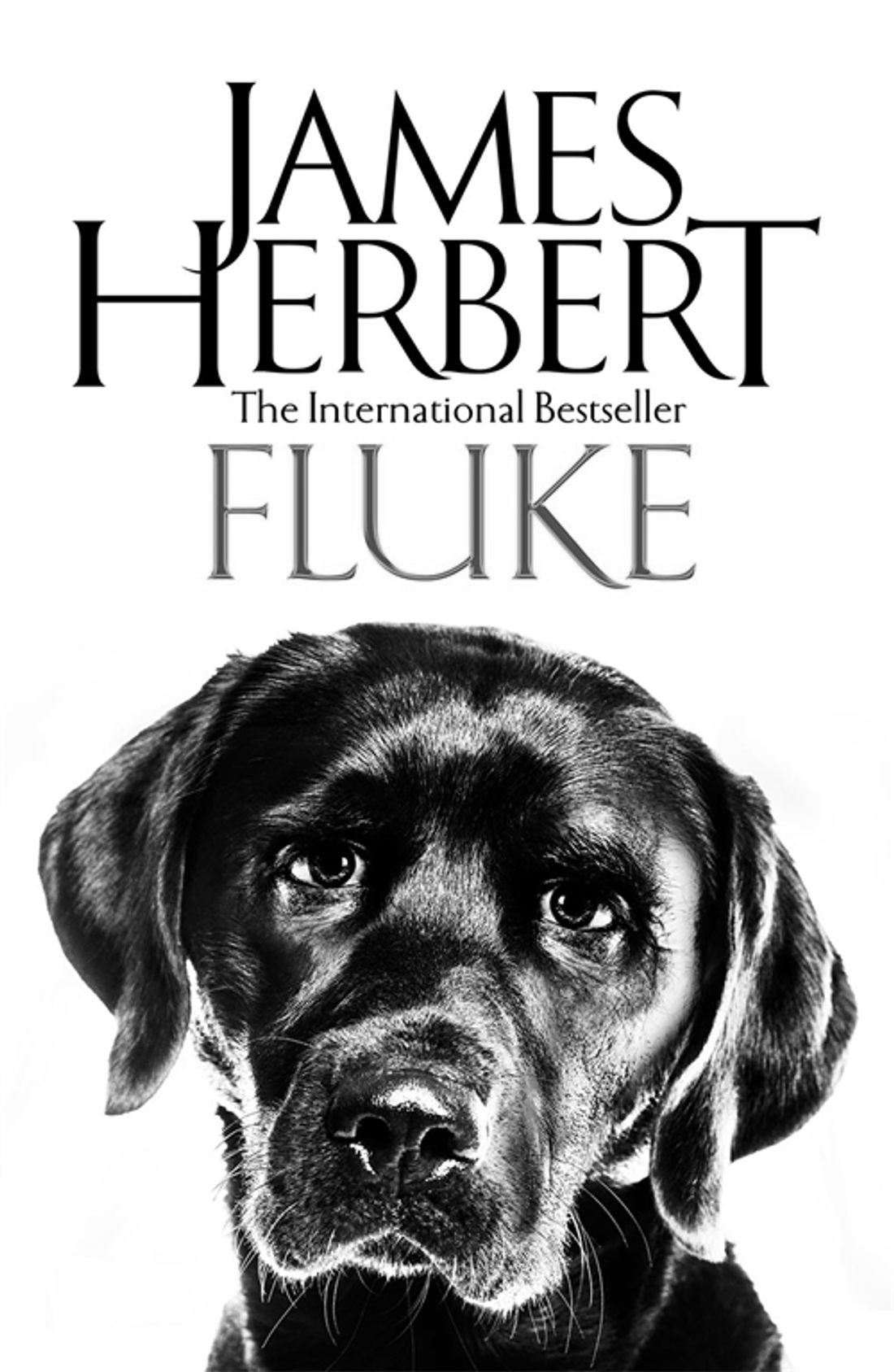 

Fluke