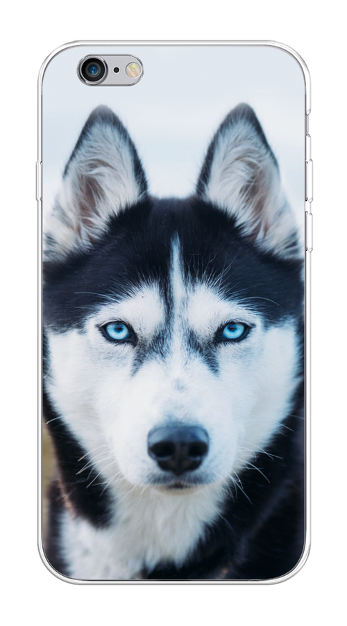 

Чехол на Apple iPhone 6/6S "Хаски 2", Синий;белый, 10450-1