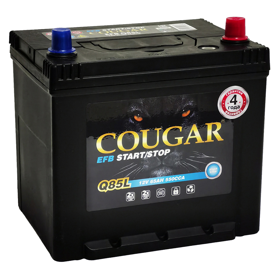 Аккумулятор автомобильный COUGAR EFB Q85L 65Ач R+ EN550A 232х175х225 B01