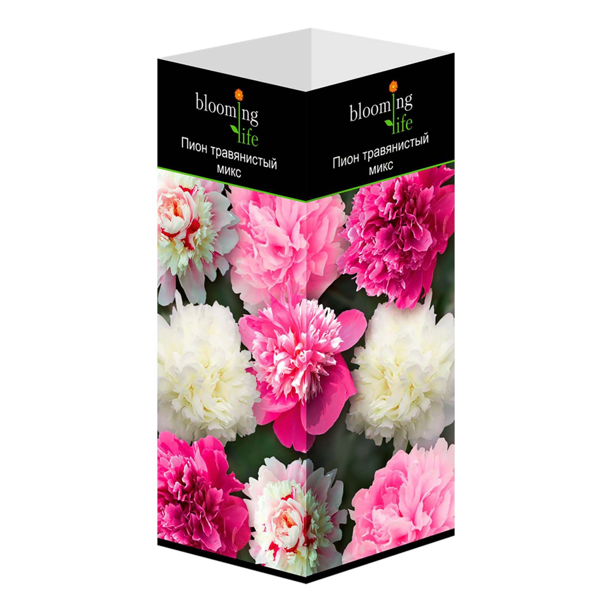 

Саженцы пион Микс Blooming life 1 шт.
