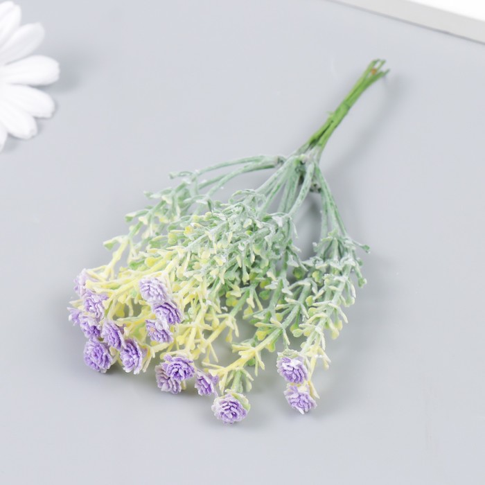 Цветы для декорирования Гвоздика Шабо сиреневый 1 букет=6 головок 17 см (10 шт)