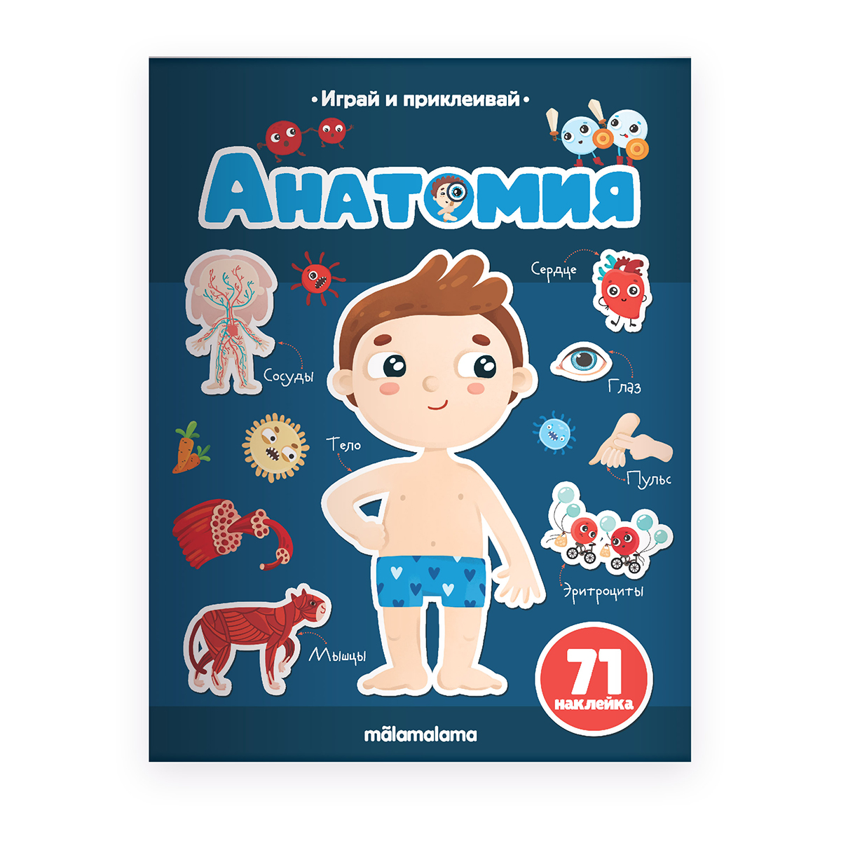 

с наклейками Malamalama Играй и приклеивай Анатомия