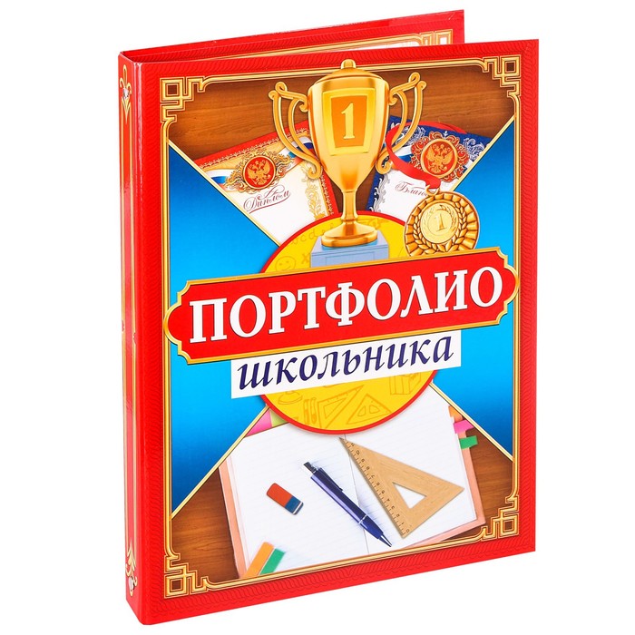 

Папка-портфолио на кольцах Портфолио школьника 13 листов 24 5 х 32 см, Разноцветный