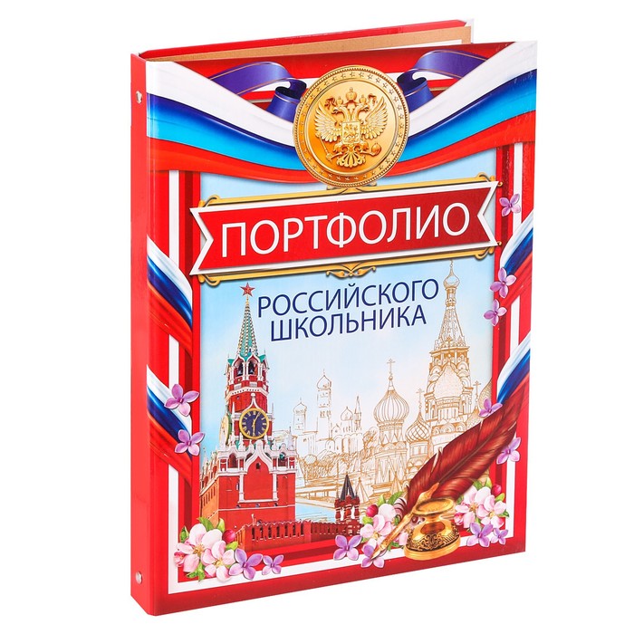 

Папка-портфолио на кольцах Портфолио российского школьника 10 листов 24 5 х 32 см, Разноцветный