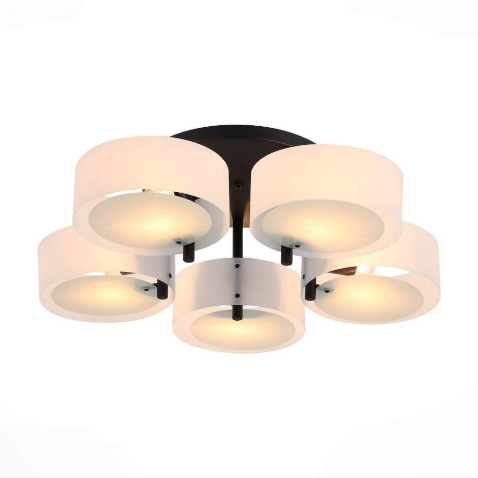 

Люстра потолочная ST Luce Foresta SL483.402.05