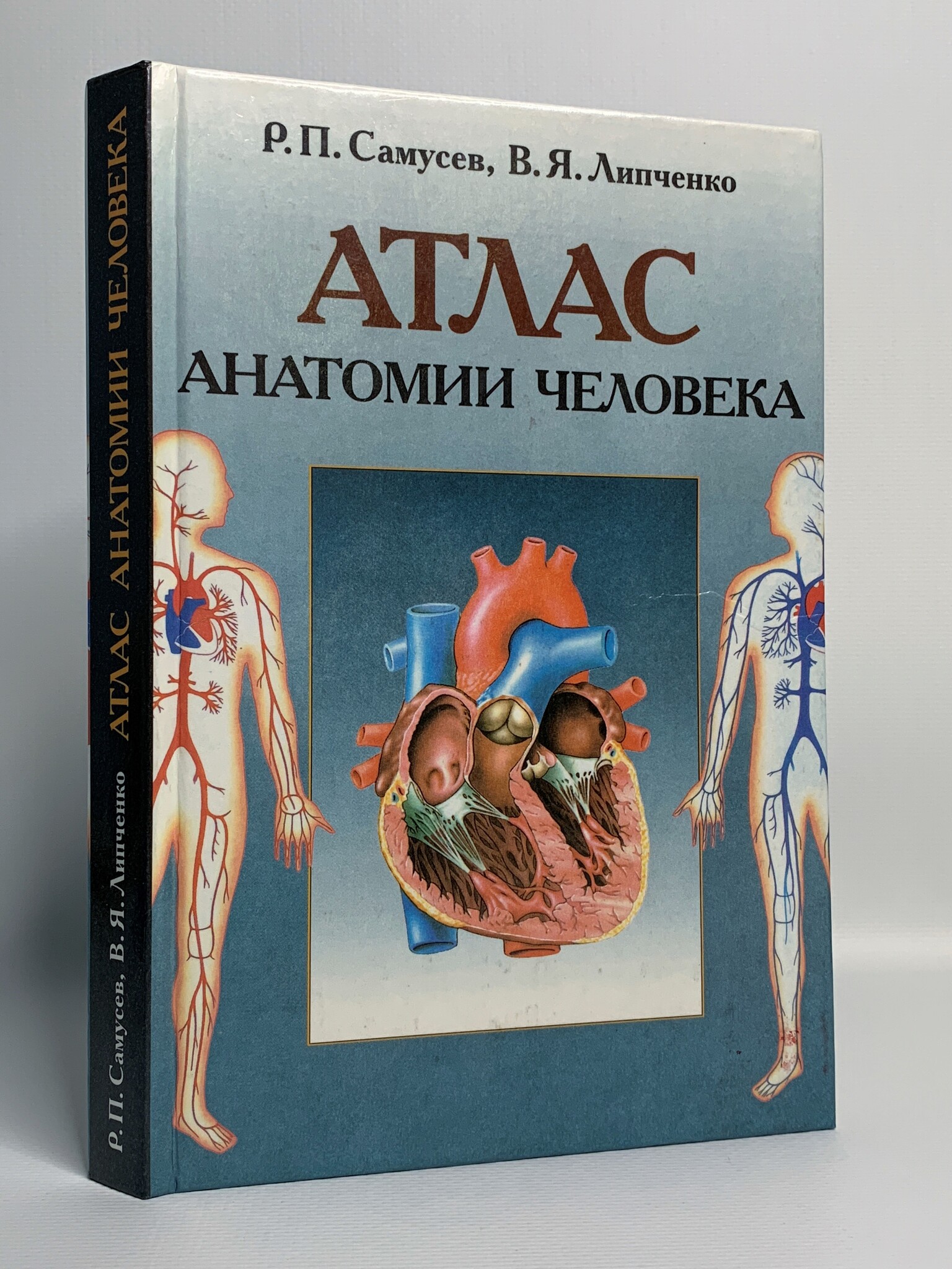 Книга Атлас анатомии человека 100049175614