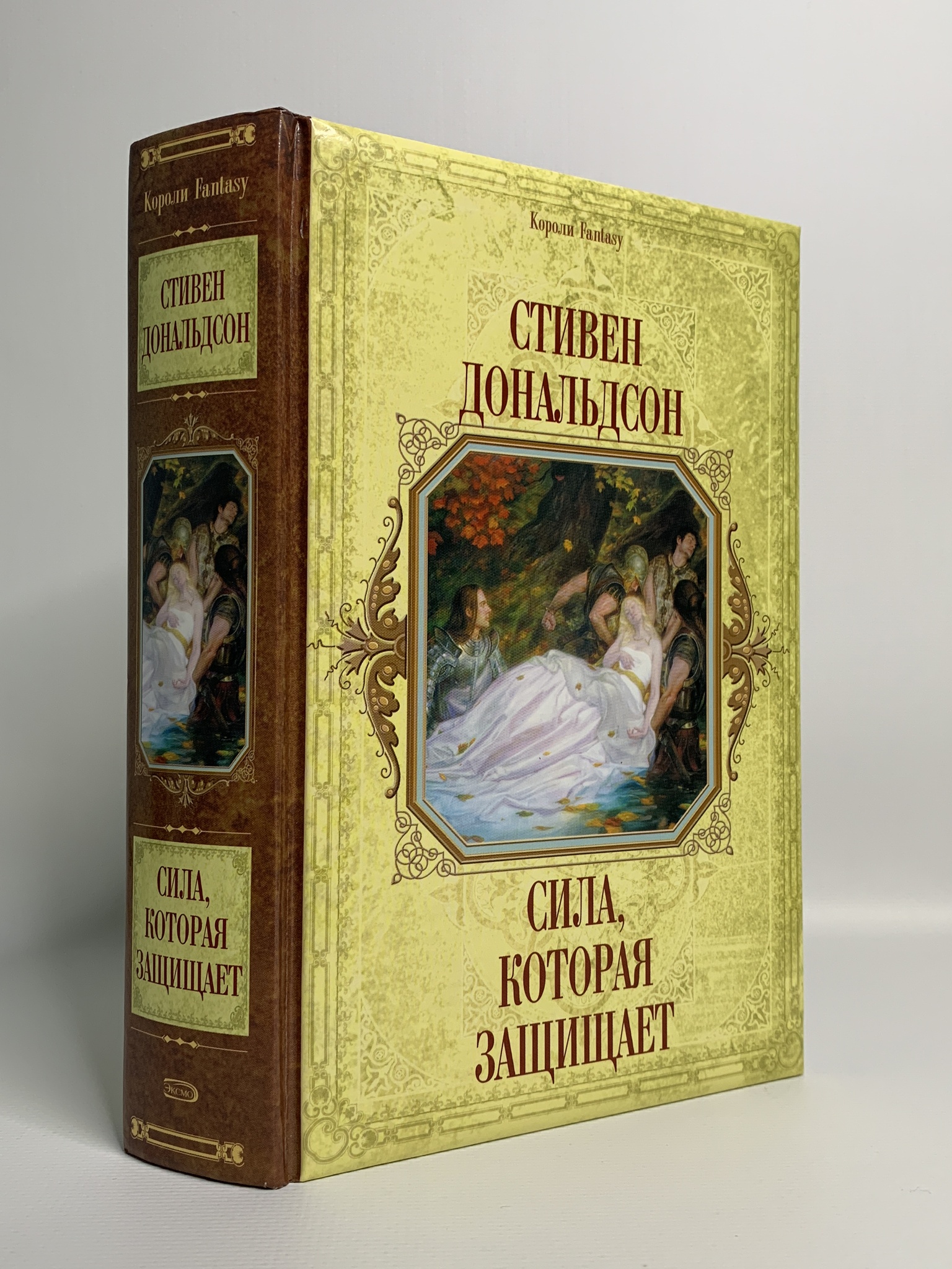 

Книга Сила, которая защищает