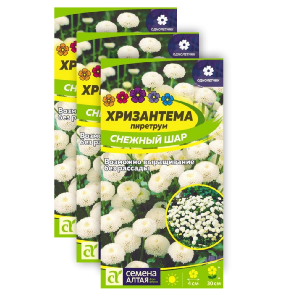 

Комплект Семена Хризантема Снежный шар пиретрум Семена Алтая 23-02138 0,01 гр. 3 уп