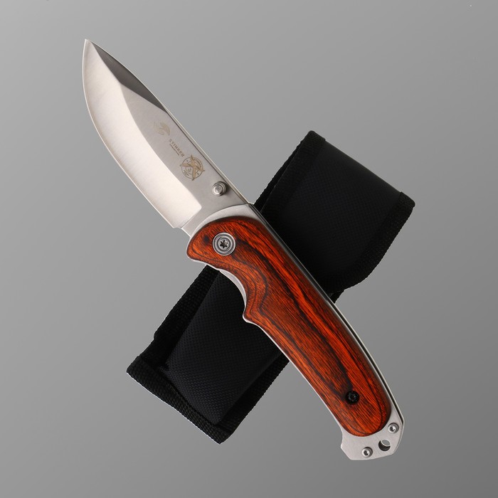 

Нож складной Stinger, 9 см, лезвие - 3Cr13, рукоять - дерево, Коричневый;серебристый, Stinger