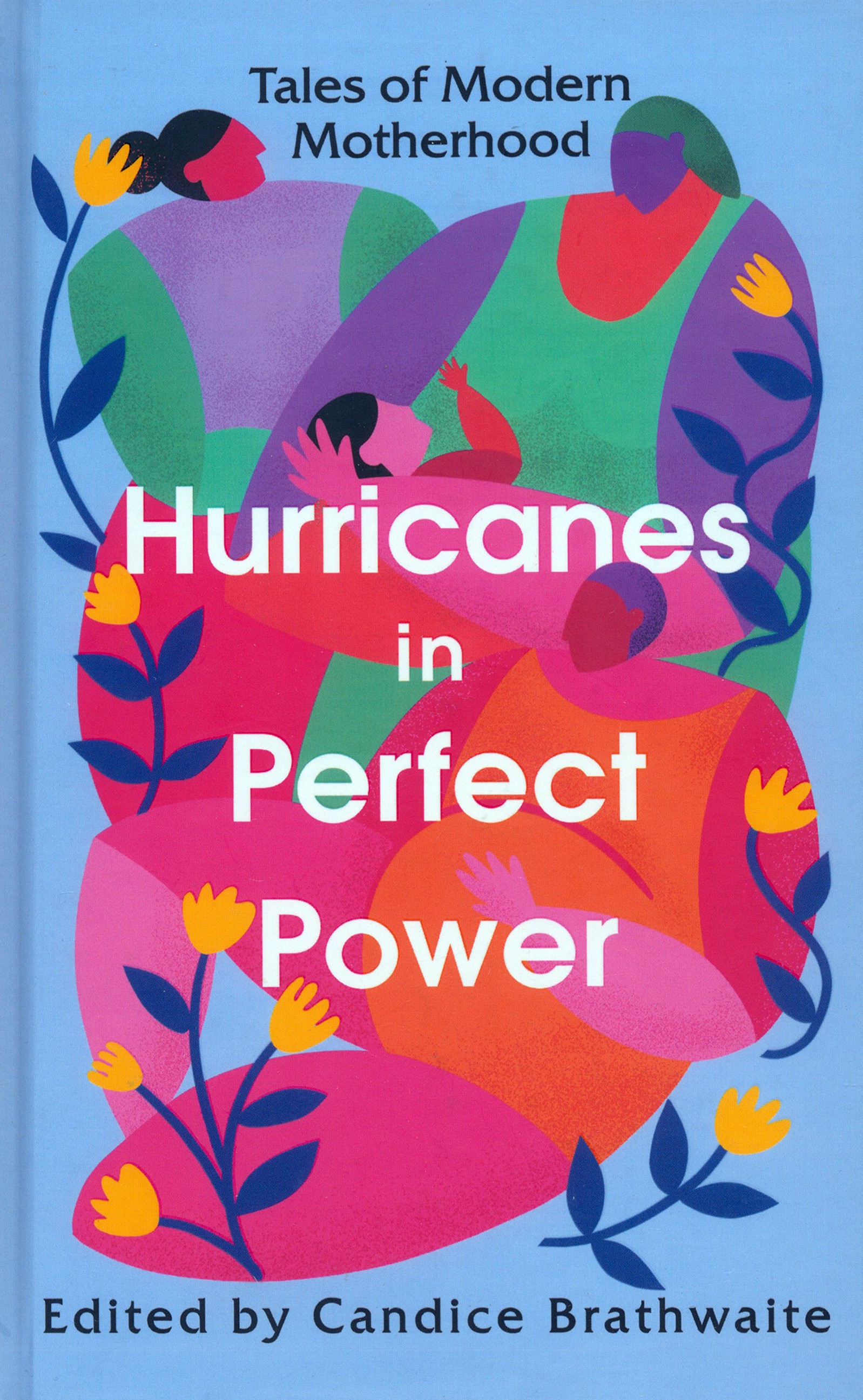 

Hurricanes in Perfect Power Tales of Modern Motherhood