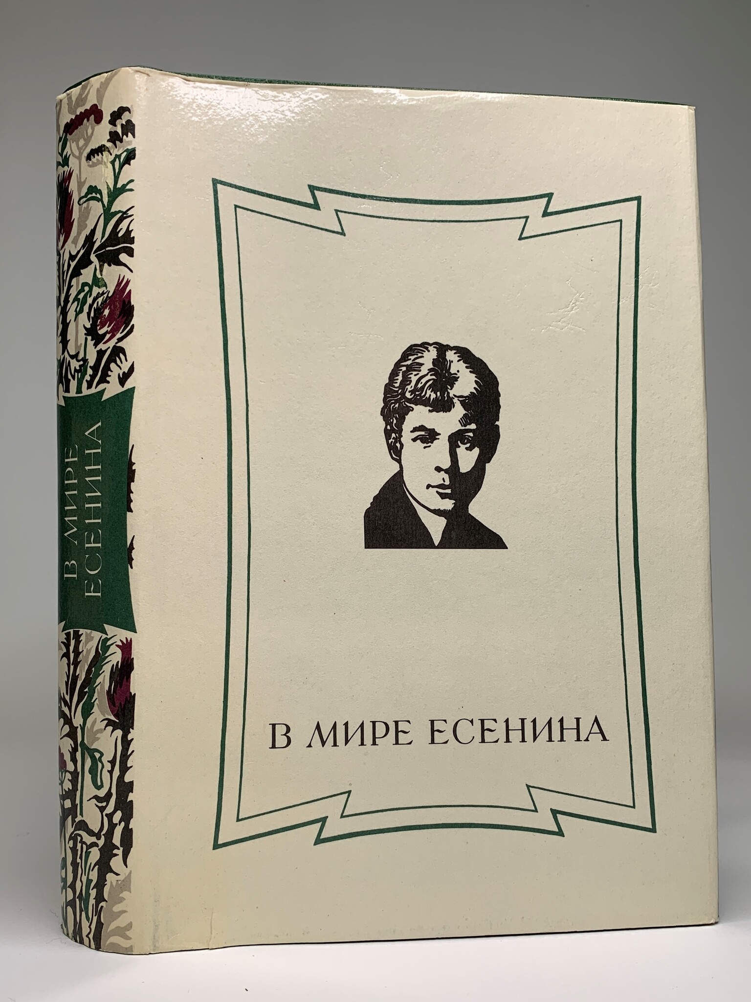 

В мире Есенина