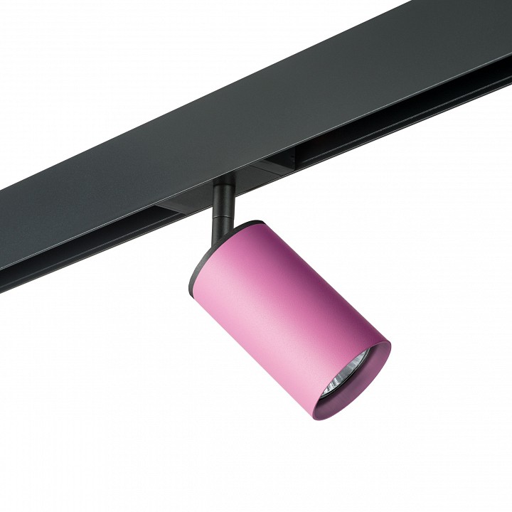 

Светильник на штанге Lightstar Rullo PRO432, PRO432