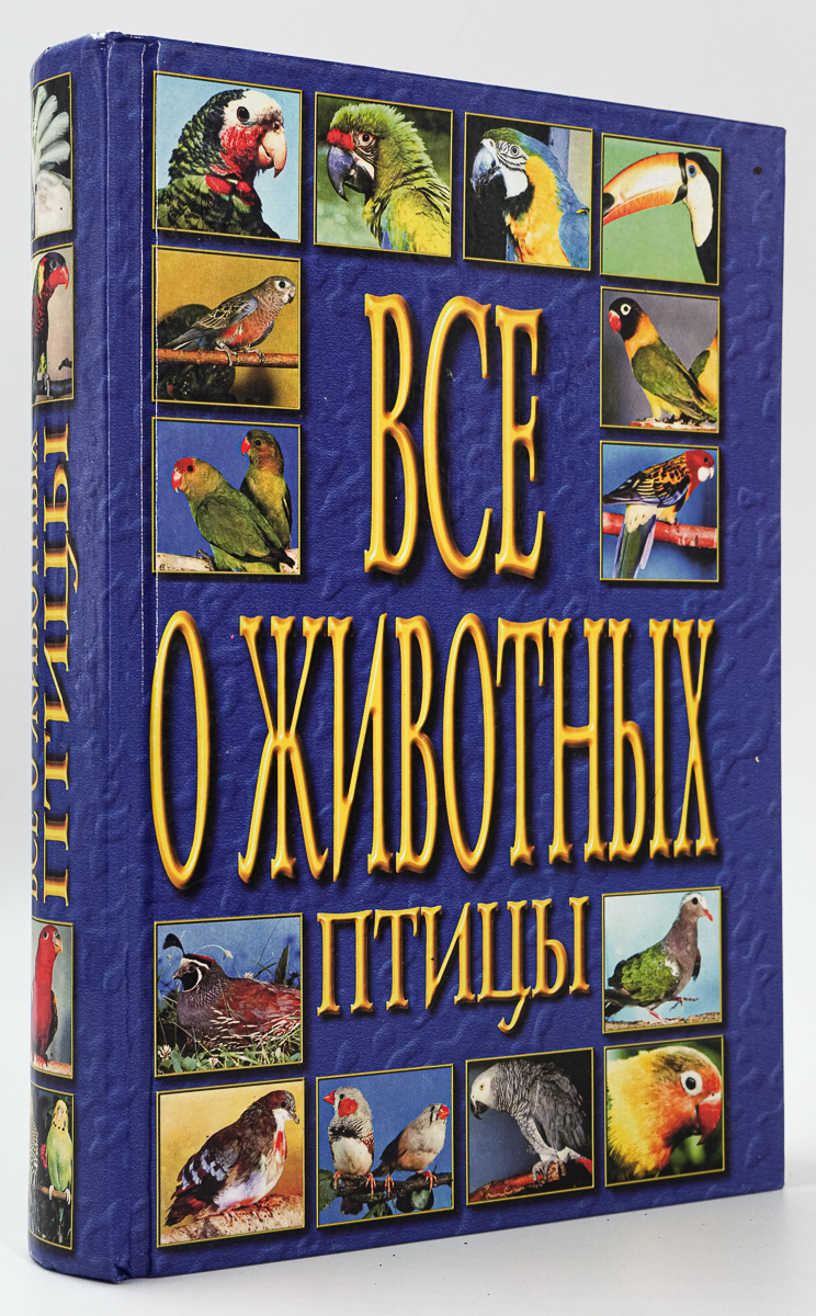 

Все о животных: птицы