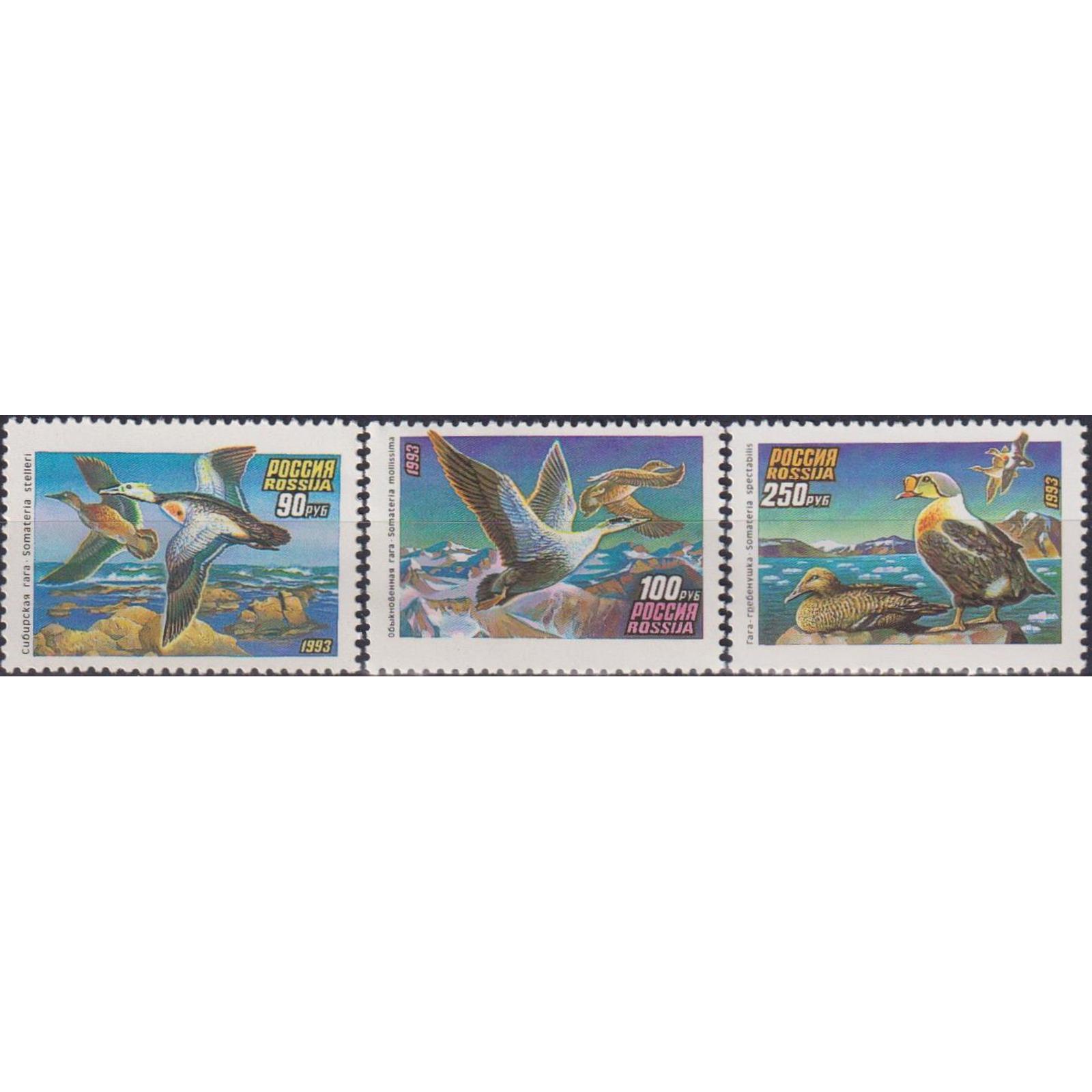 

Почтовые марки Россия "Утки" MNH, Утки MNH