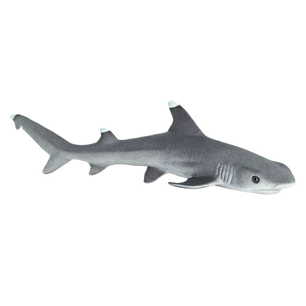 Купить Фигурка Safari Ltd Белоперая рифовая акула,