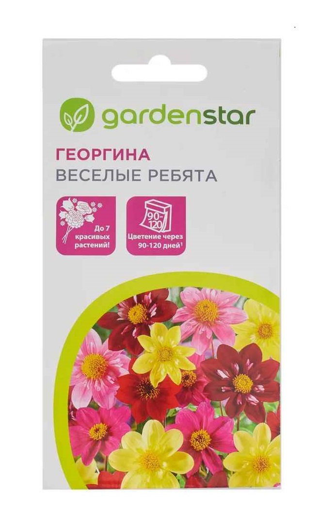 Семена Георгина Веселые ребята Garden Star 02 г 23₽