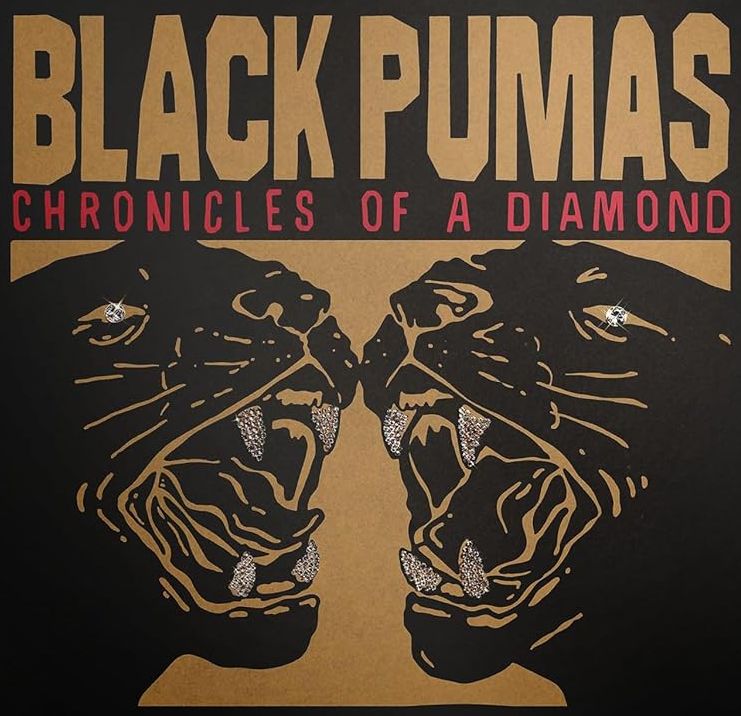 

Black Pumas Chronicles Of A Diamond (CD)