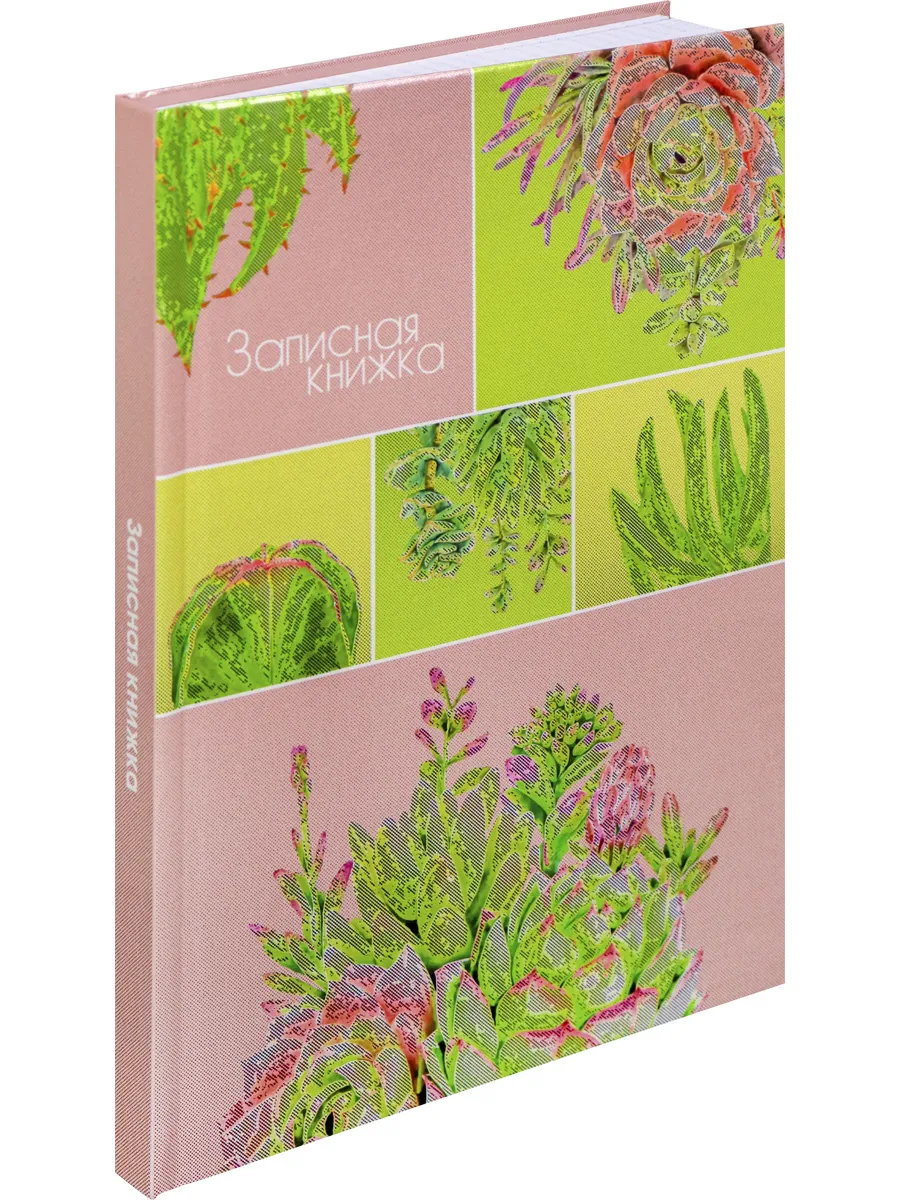 

Записная книжка Проф-Пресс суккуленты и кактусы /160-5921, 160-5921