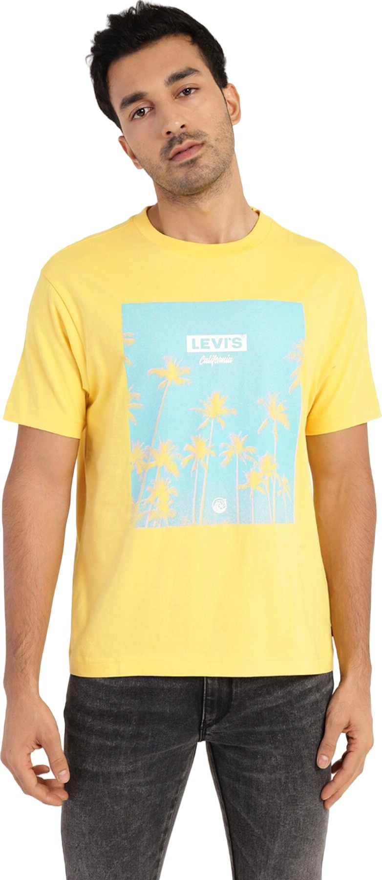 

Футболка мужская Levi's 81786-0093 желтая M, Желтый, 81786-0093
