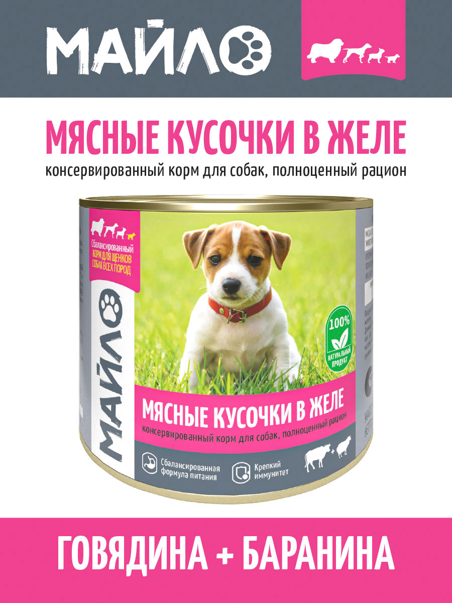Консервы для собак Майло мясные кусочки в желе, 24шт по 525г