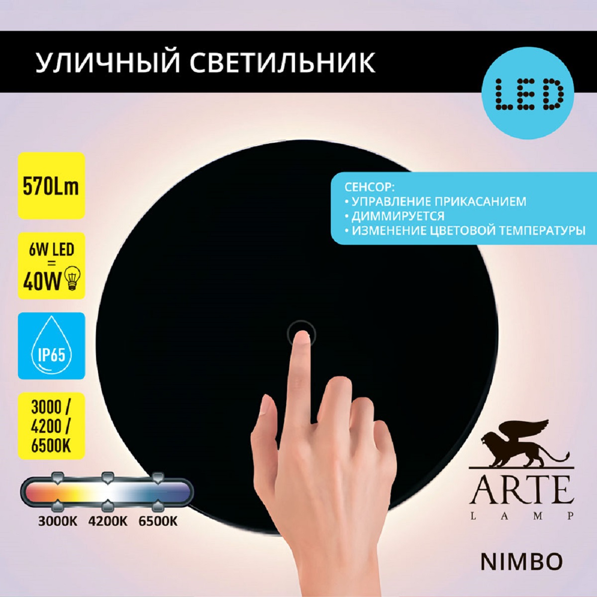 

Фасадный светильник Arte Lamp NIMBO A4506AL-1BK, NIMBO