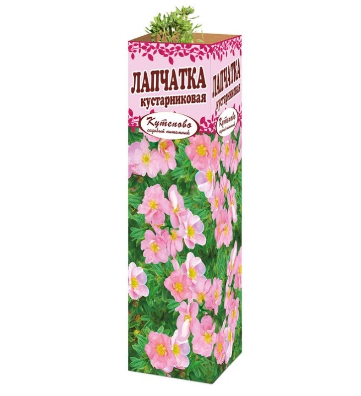 

Саженец Лапчатка розовая 1 шт