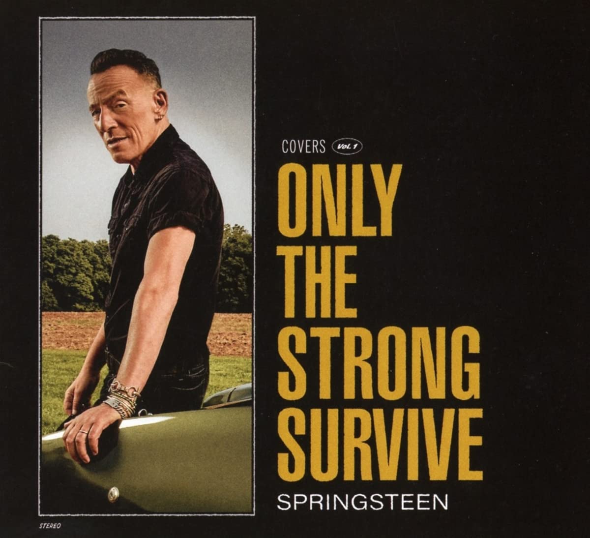 

Bruce Springsteen Only The Strong Survive (CD)