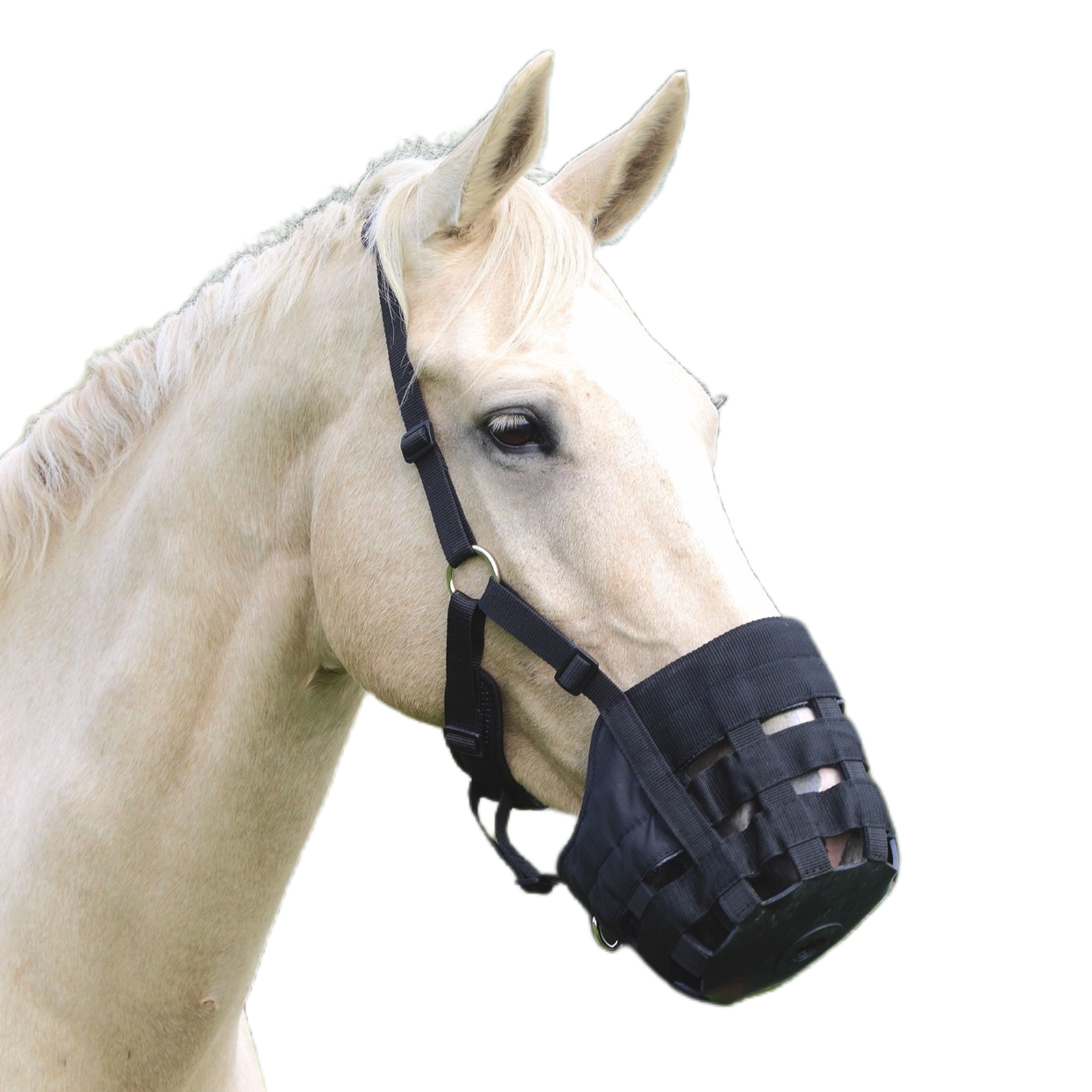 

Намордник для выпаса лошади SHIRES Comfort, XFULL, черный