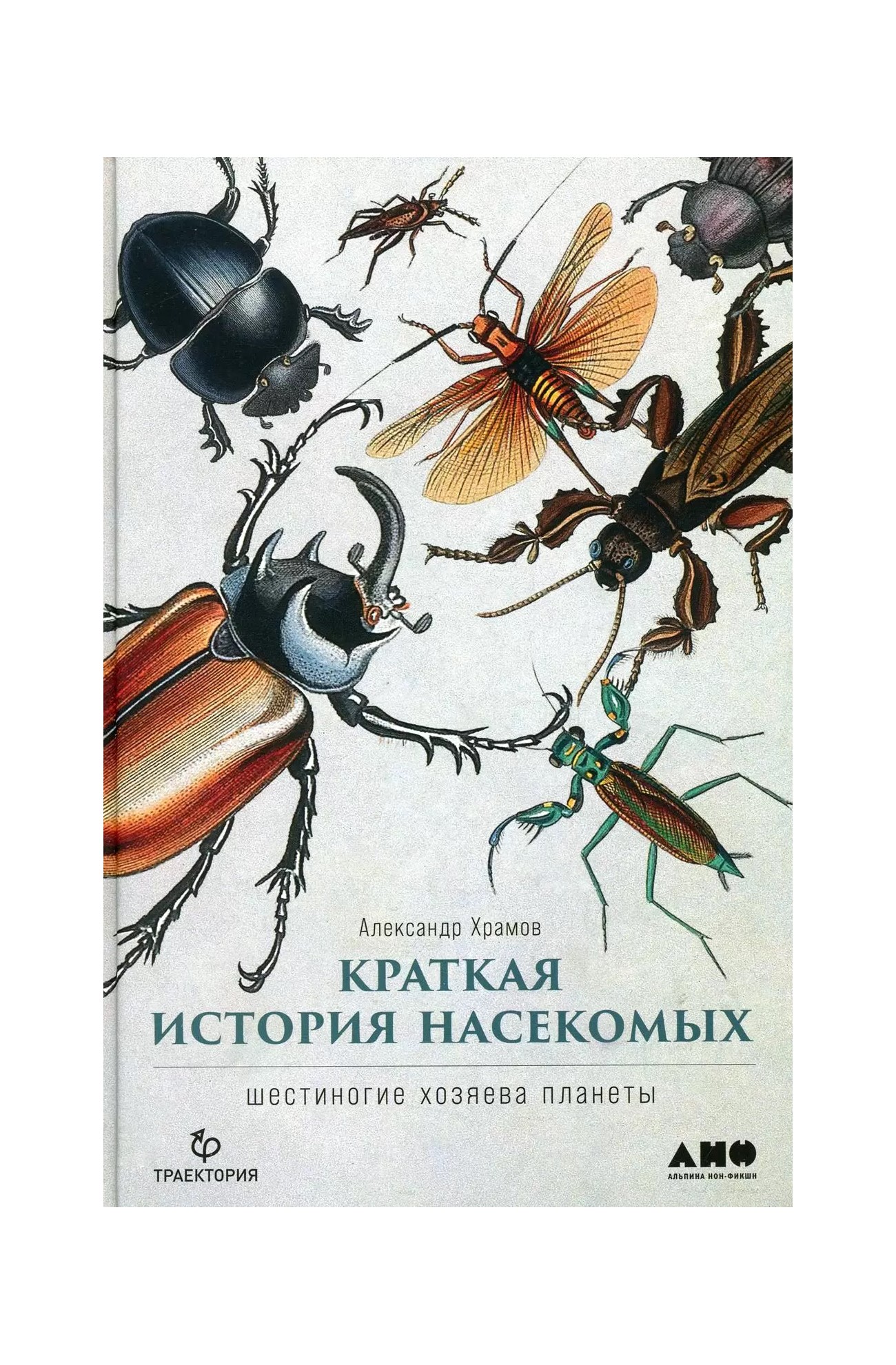 

Краткая история насекомых: Шестиногие хозяева планеты