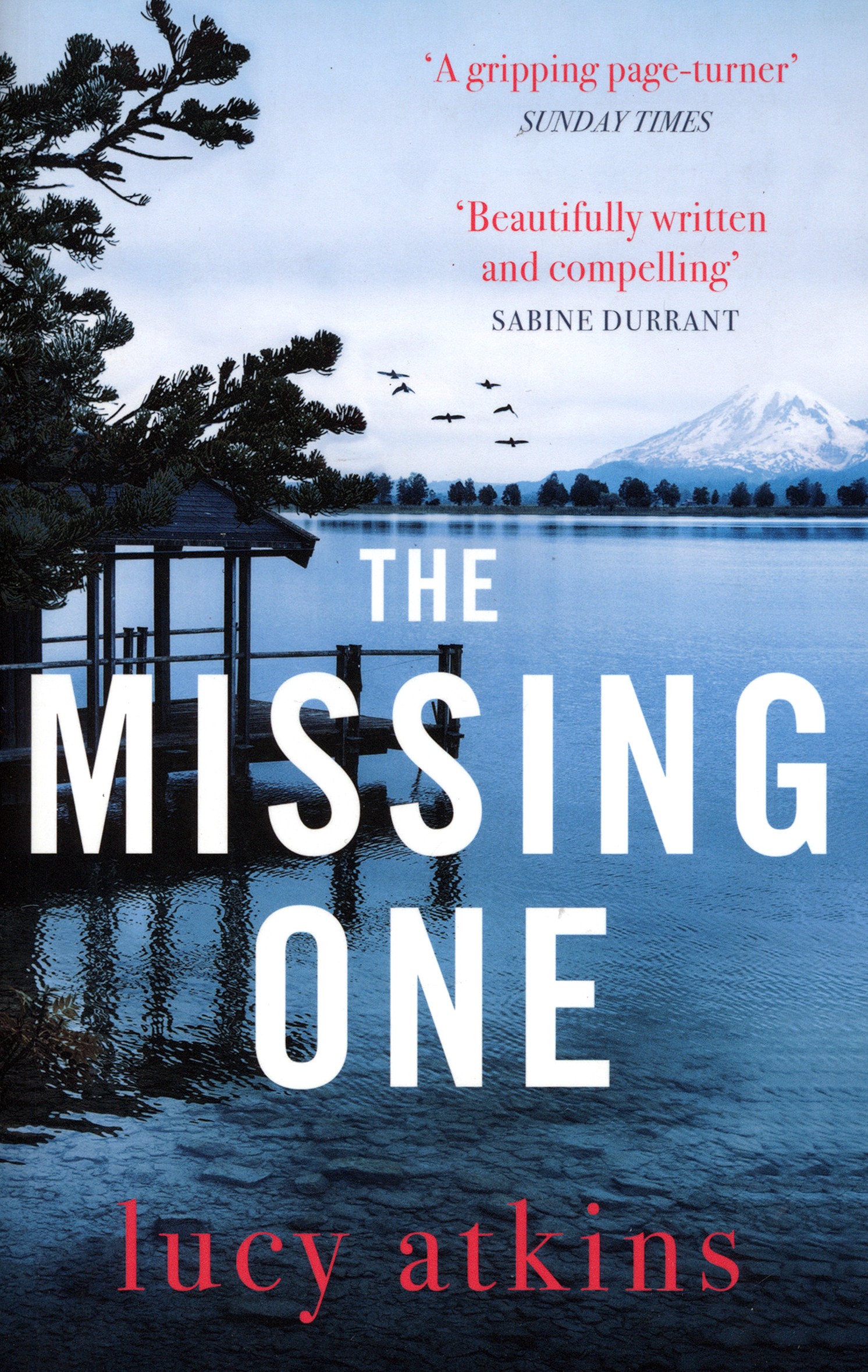 

The Missing One