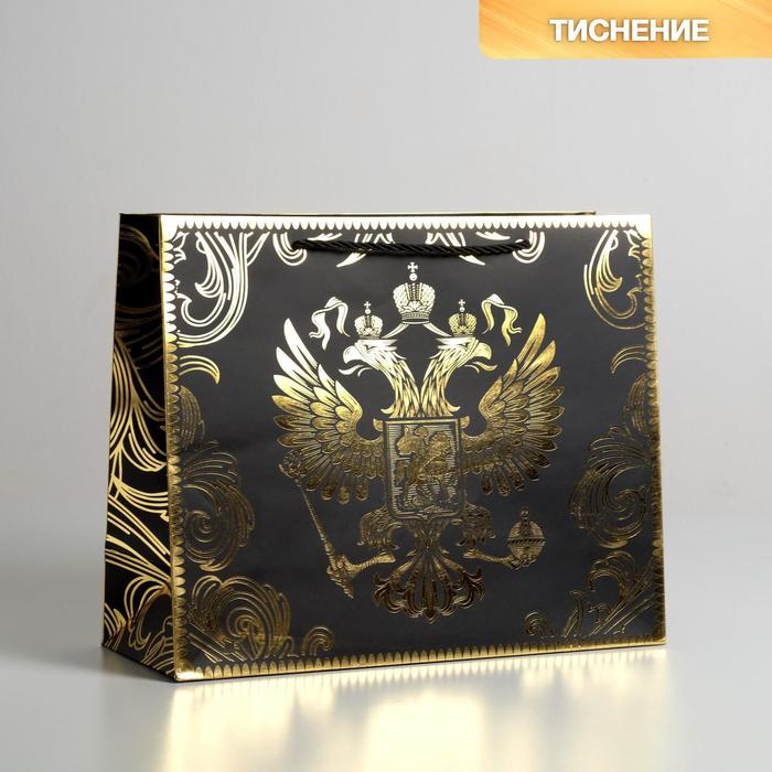 

Пакет подарочный Дарите Счастье Gold Russia 32  26  12 см, Черный