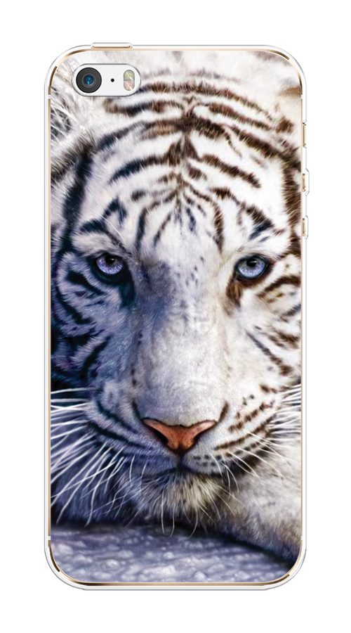 

Чехол на Apple iPhone 5 "Бенгальский тигр", Коричневый;белый, 10350-1
