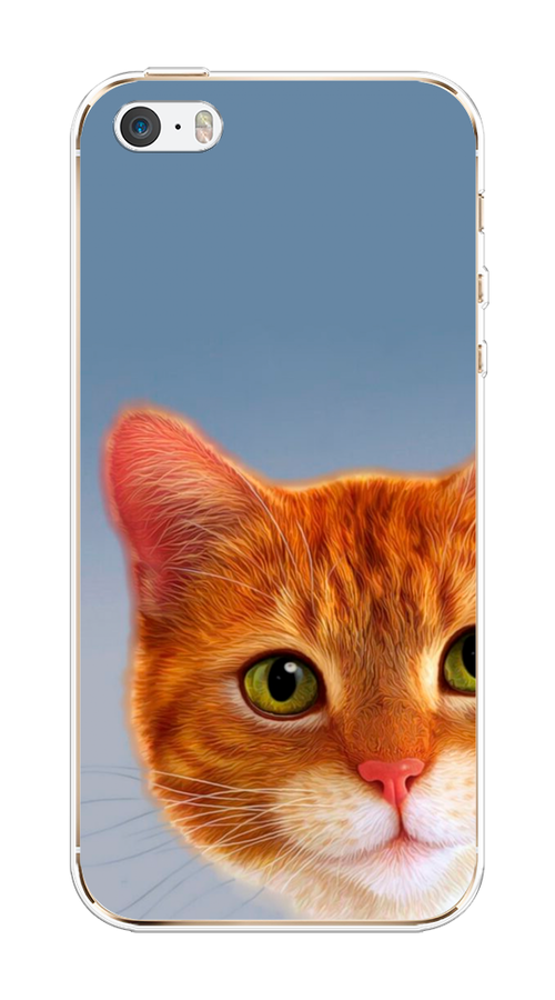 

Чехол на Apple iPhone 5/5S/SE "Любопытный котик", Коричневый, 10350-1