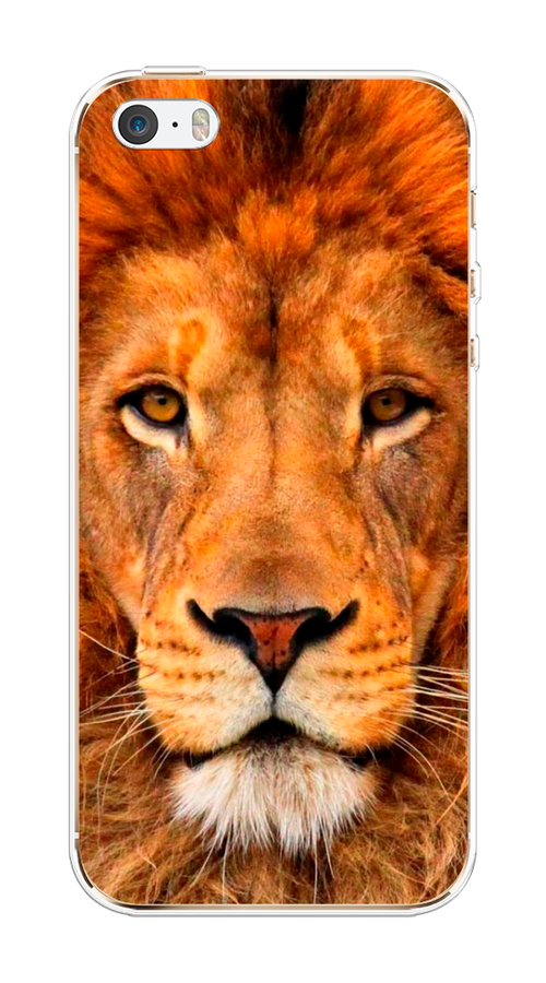 

Чехол на Apple iPhone 5/5S/SE "Благородный лев", Оранжевый, 10350-1