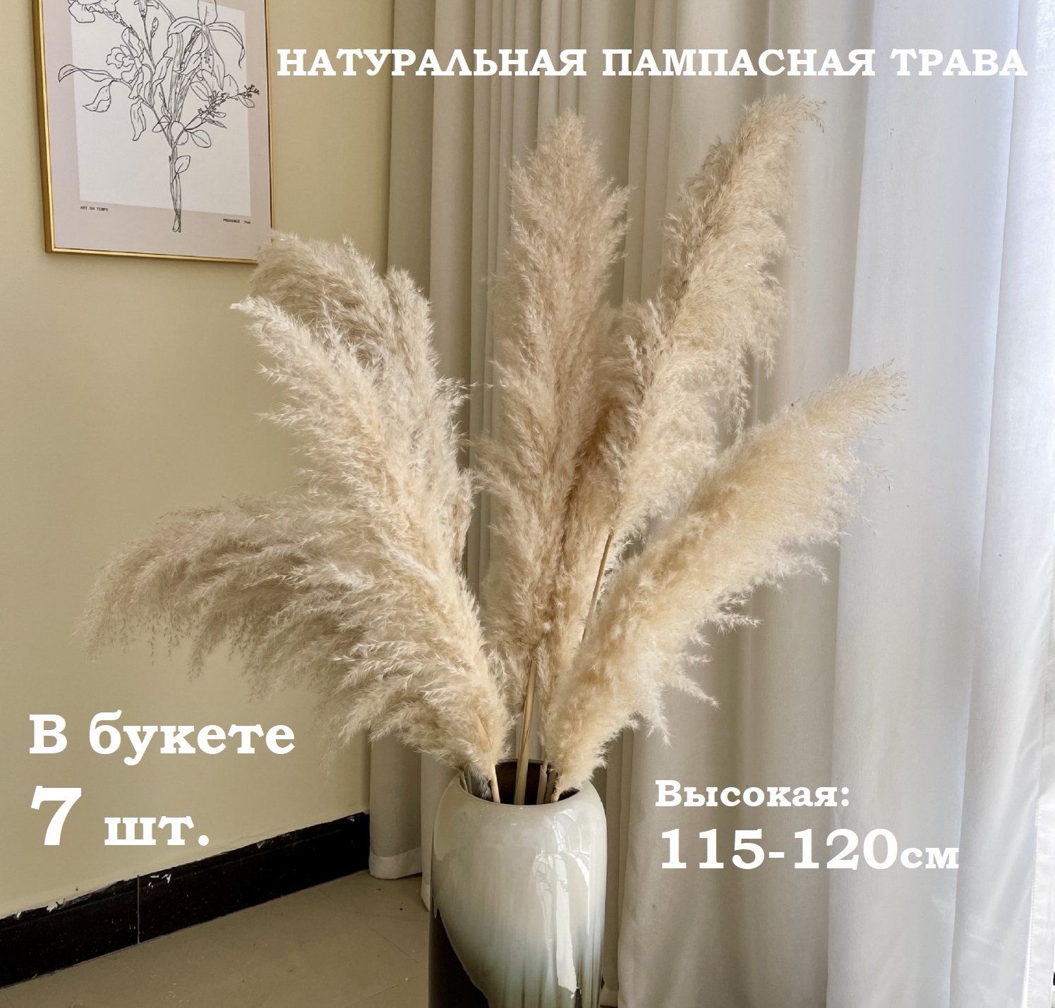 

Пампасная трава Sales House Кортадерия сухоцвет высокая 115 см 7 штук, Бежевый, 7 сухоцветов