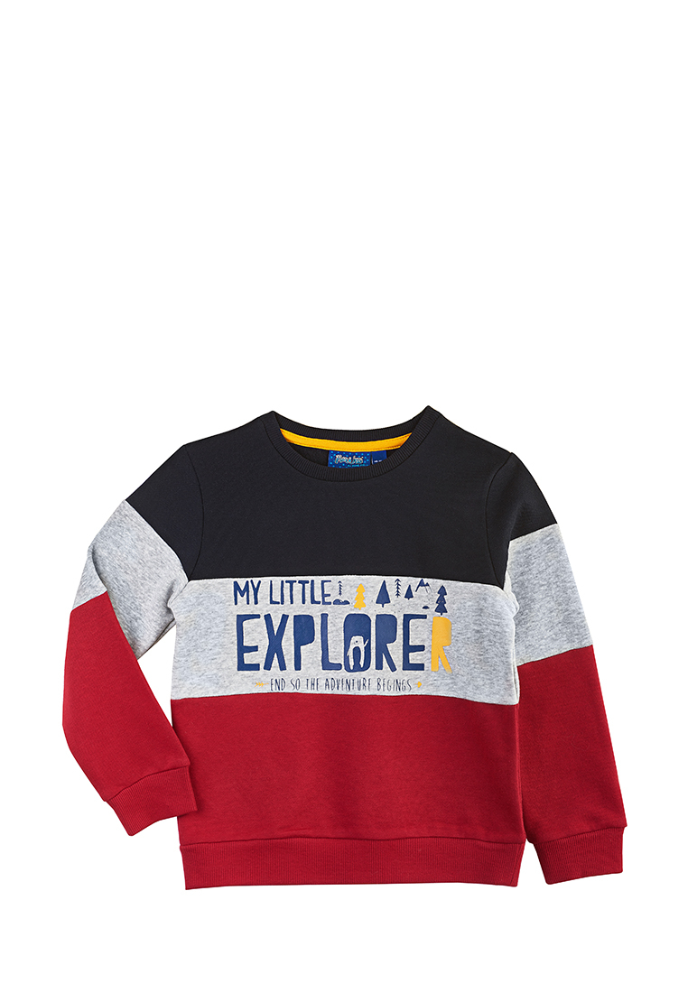

Свитшот детский Max&jessi AW21С42003518 синий/серый/бордовый р.110, AW21С42003518
