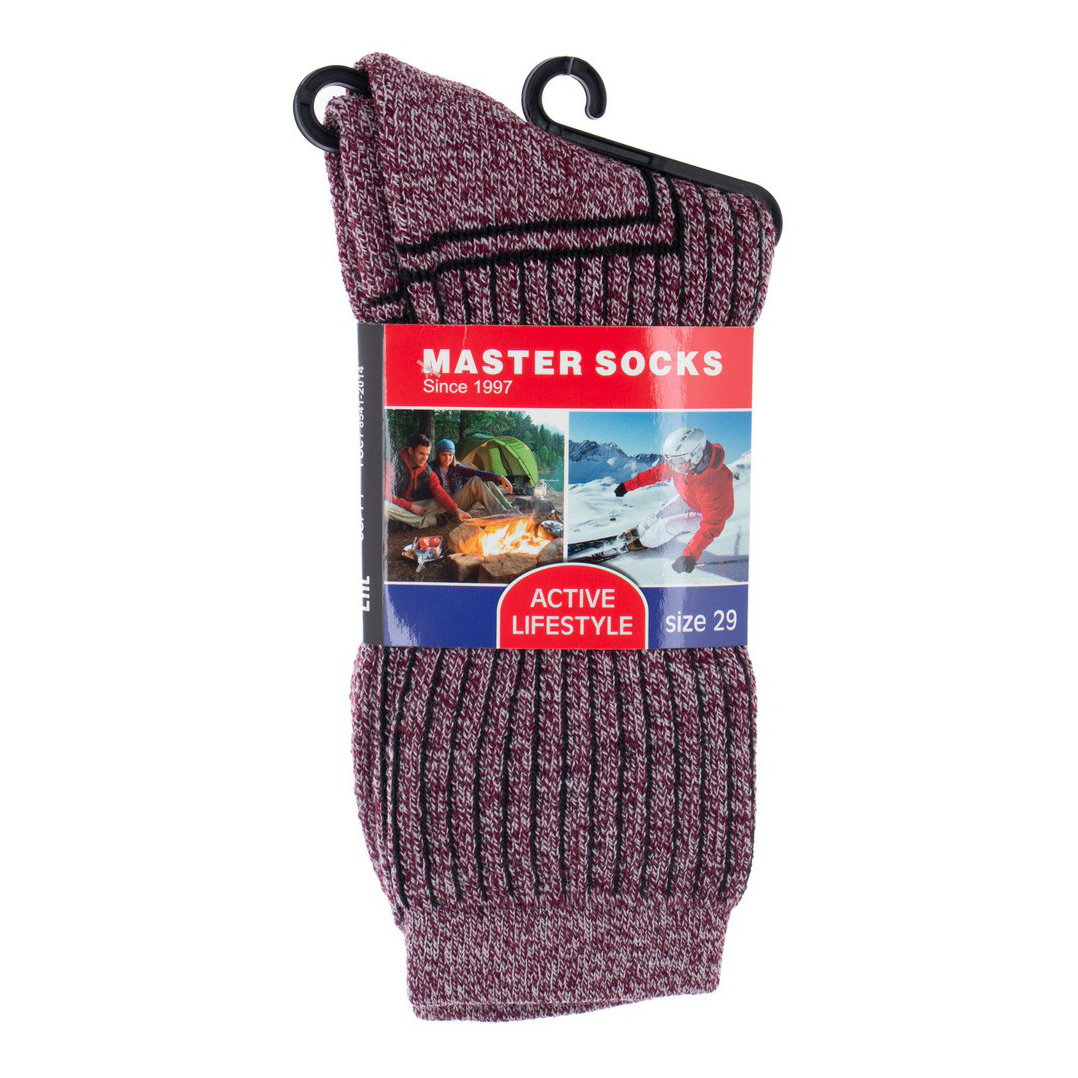 

Носки мужские Master Socks серые 29