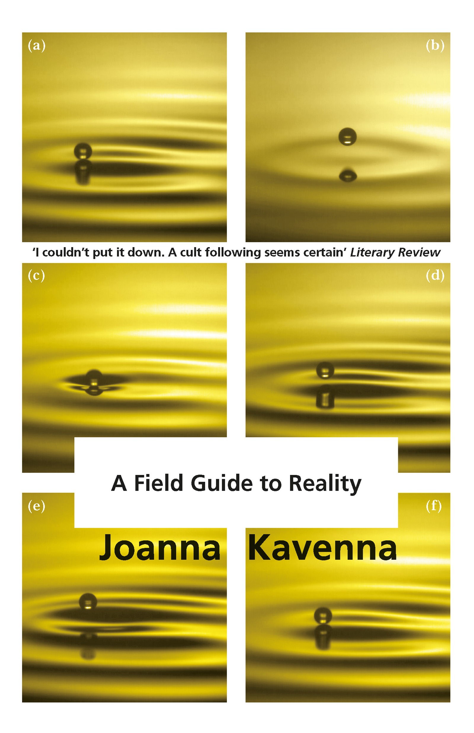

A Field Guide to Reality