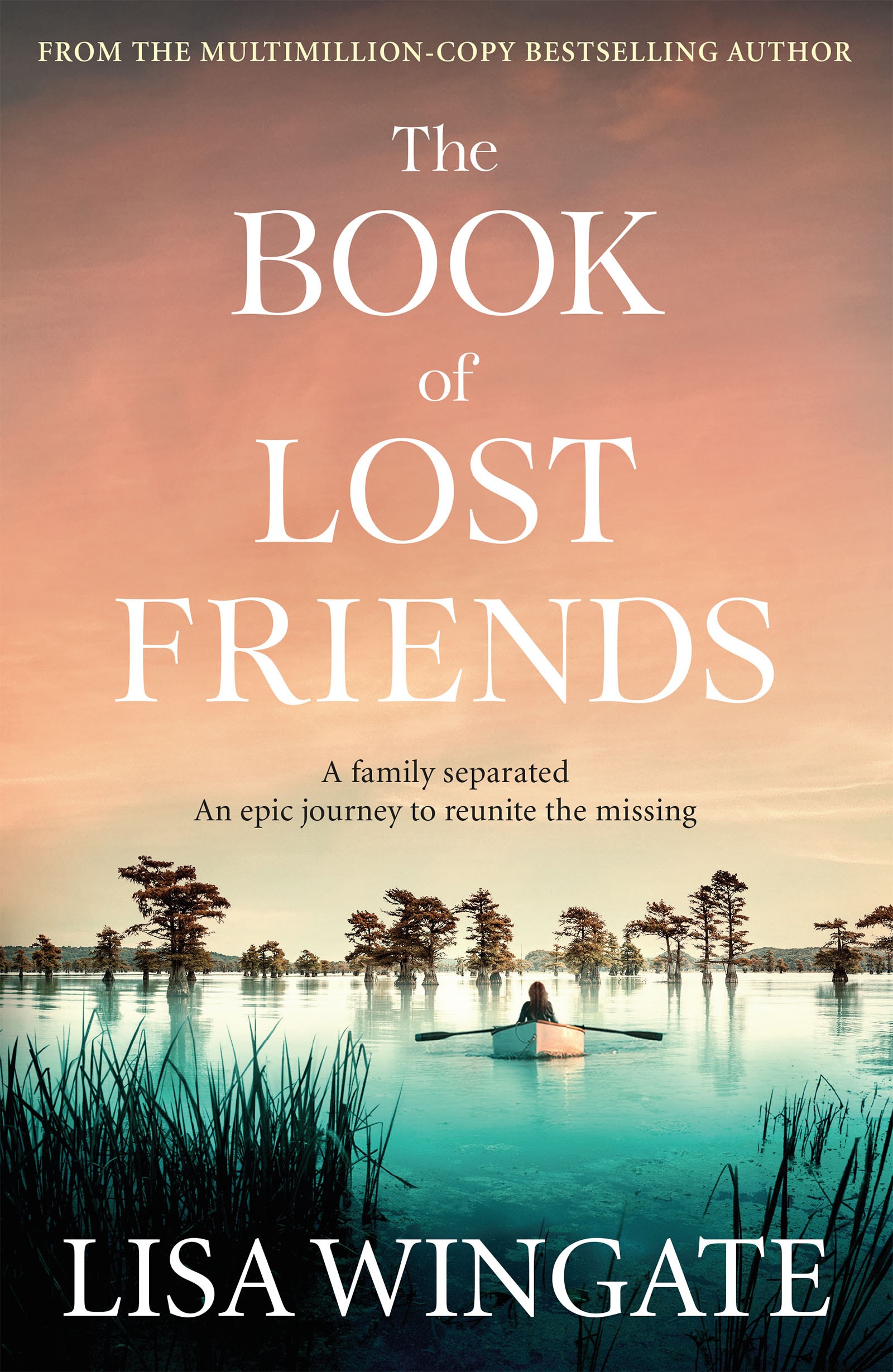 

The Book of Lost Friends