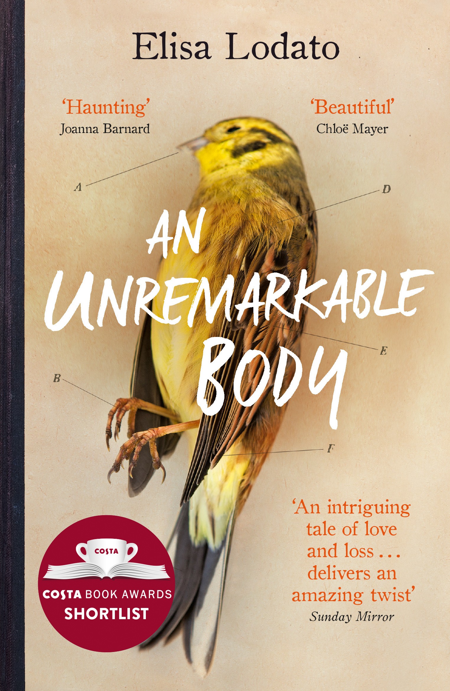 

An Unremarkable Body