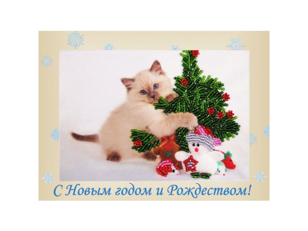 

Набор для вышивания бисером Butterfly Котенок 704