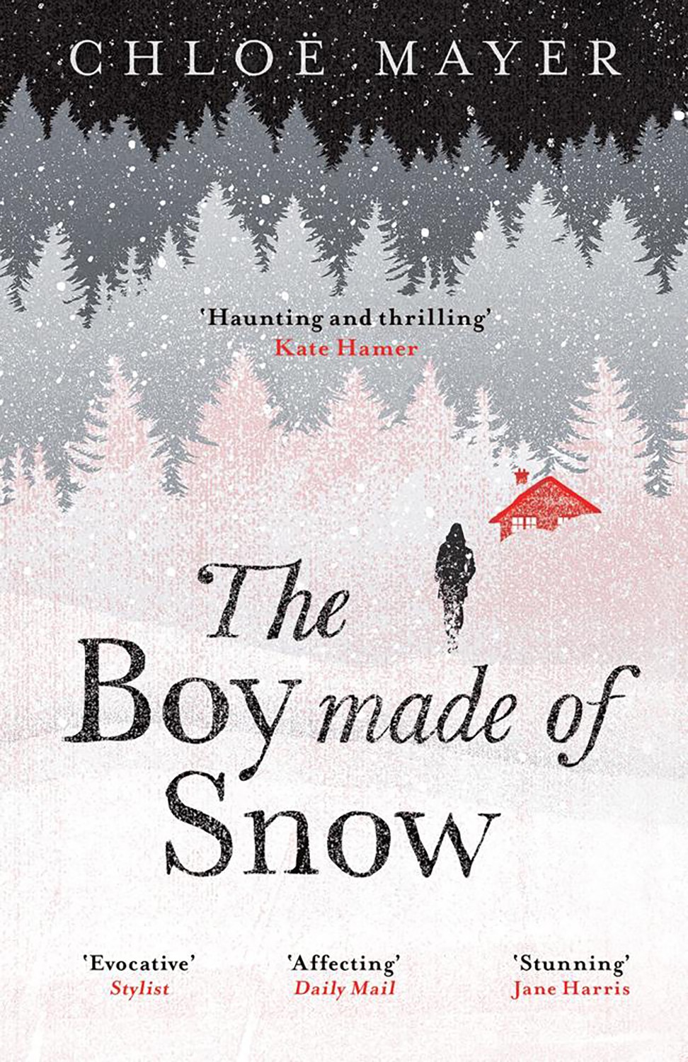 

The Boy Made of Snow