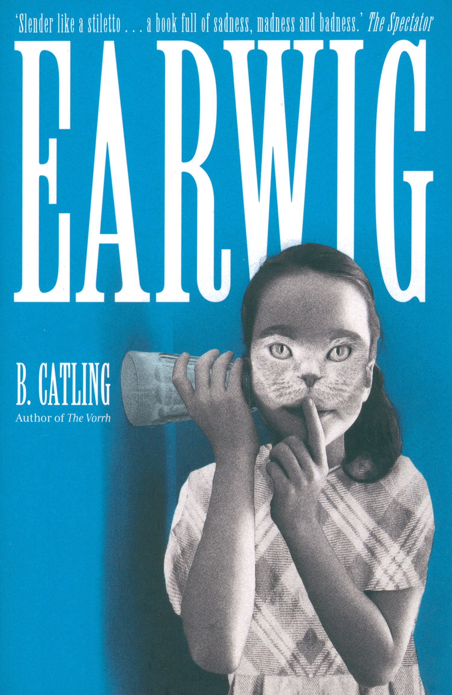 

Earwig