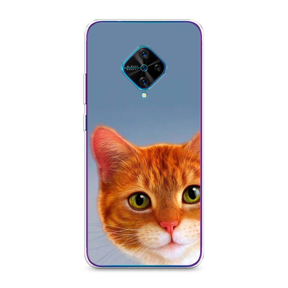 

Чехол для Vivo Y9s "Любопытный котик", Коричневый, 262450-1