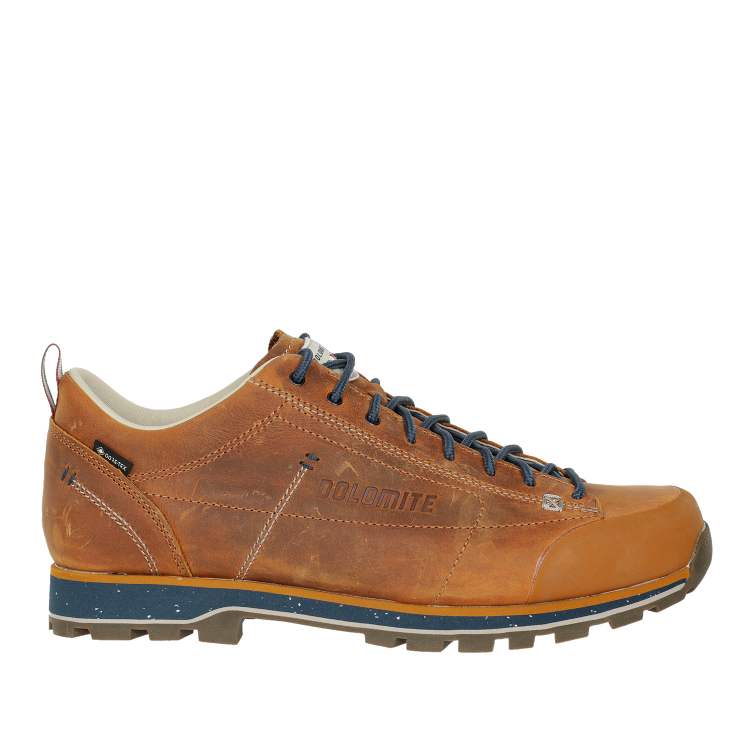 

Полуботинки мужские Dolomite 54 Low Fg Evo Gtx коричневые 11 UK, Коричневый, 54 Low Fg Evo Gtx